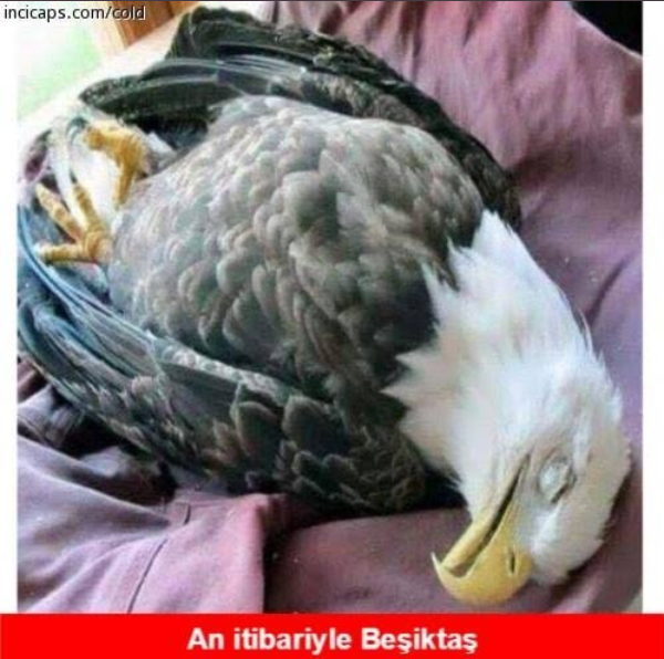 1620509721763.png