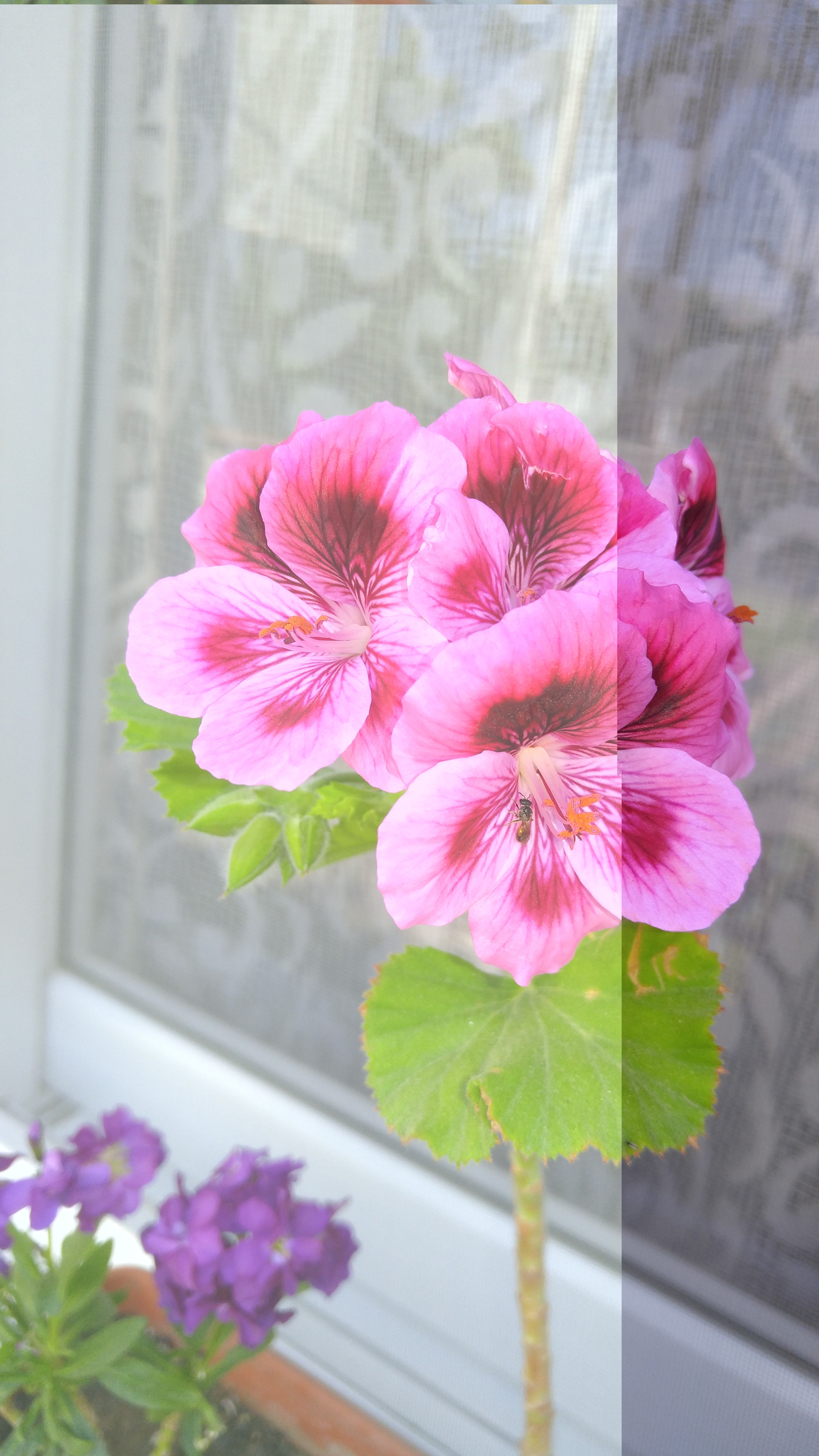 20160417_131238.jpg