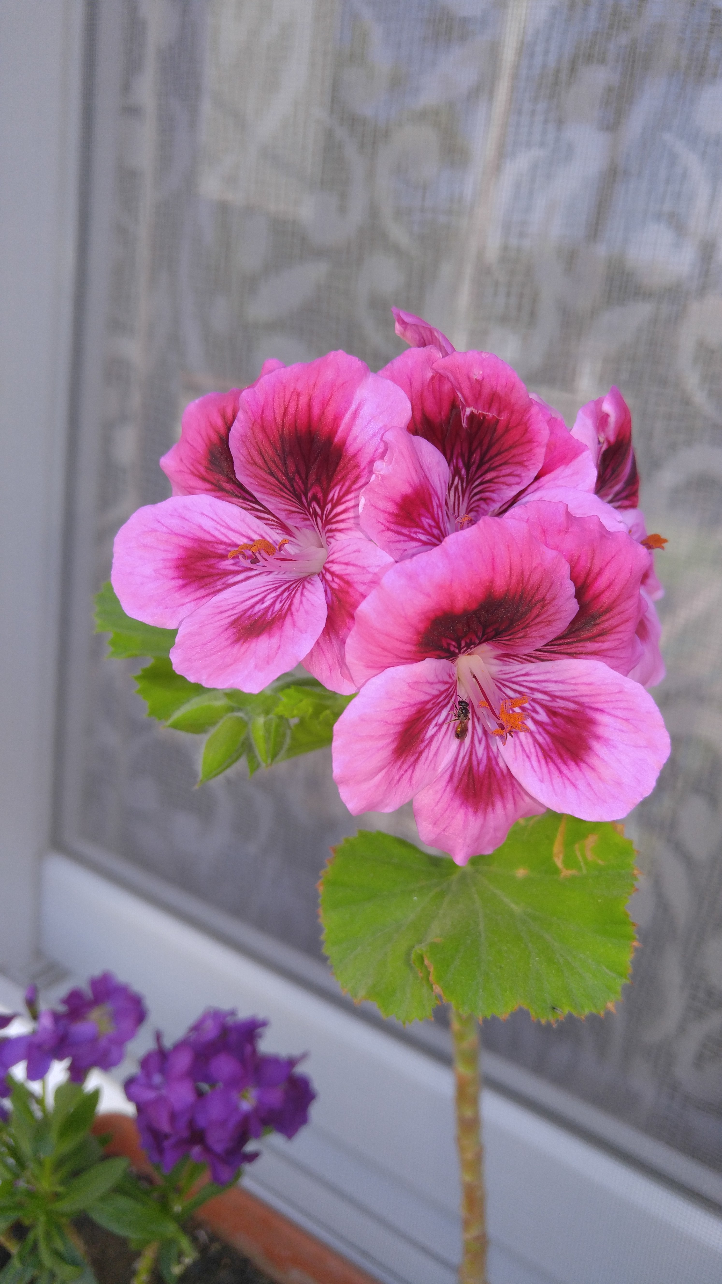 20160417_131238.jpg