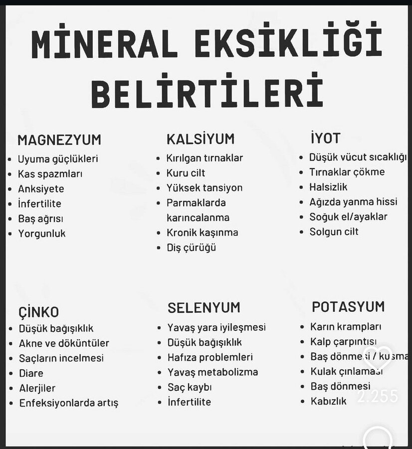 2559369b3f4cfa25c7b9df6ac9f8f850.jpg
