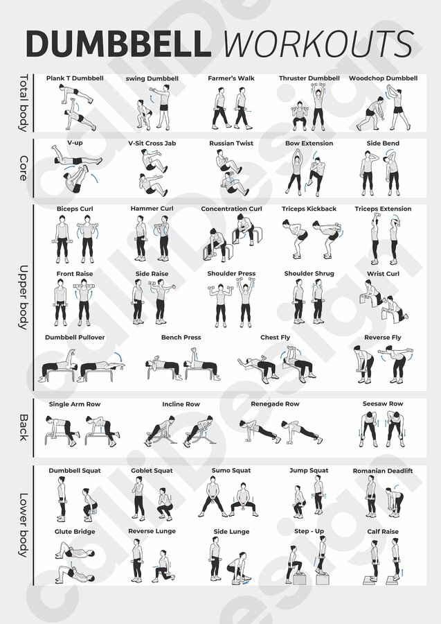 38 Types of Dumbbell Exercise Illustrations and 1 Type of Poster File - Etsy.jpg