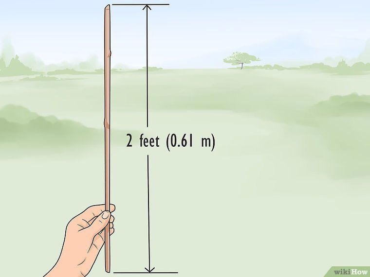 4 formas de encontrar el norte verdadero sin brújula.jpg