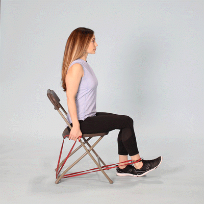 400x400_Vastus_Medialis_Exercises_to_Stabilize_the_Knee_Leg_Extension_Correction.gif