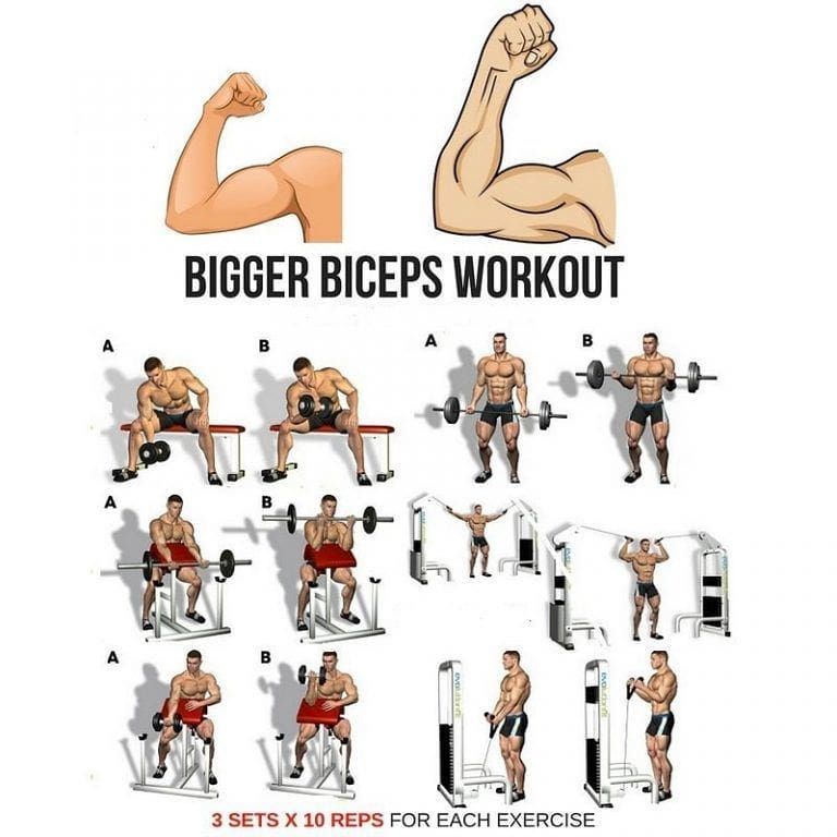 6 exercises to build biseps . Follow @xfinity.fitness for more post related fitness and workou...jpg