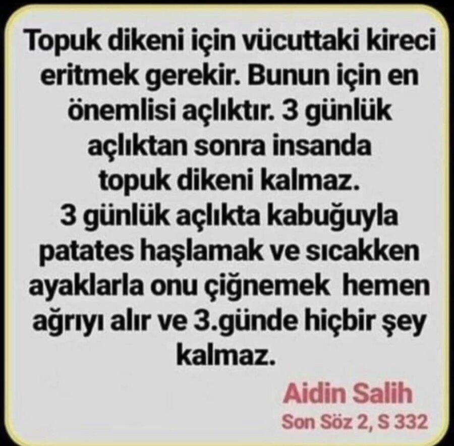 61fe050c03cb8498ec1dceb124084450.jpg