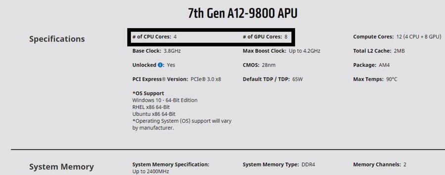 9800.jpg