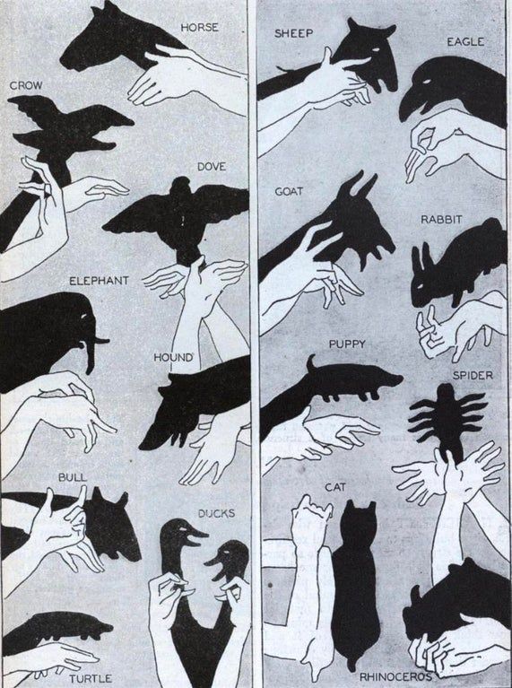 A guide to shadow animals _ coolguides.jpg