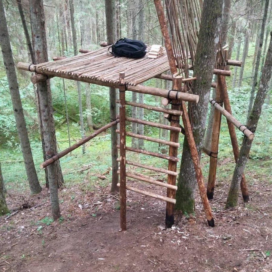 A ladder #bushcraft #treehouse #shelter #nationalpark #woods #lithuania #nature #tree #rope #f...jpg