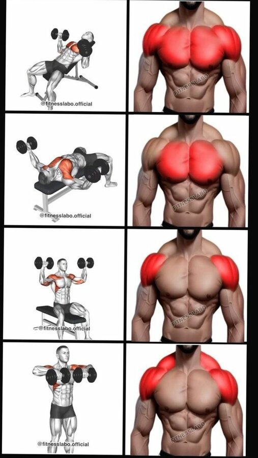a0e5d36c643d29f6f5231c7d3ba8901d.jpg