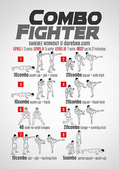 Ab Workout At Home DAREBEE 2200+ Workouts Combo Fighter Workout Larry Knox.jpg