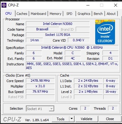 Acer 1.jpg