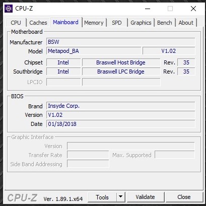 Acer 2.jpg