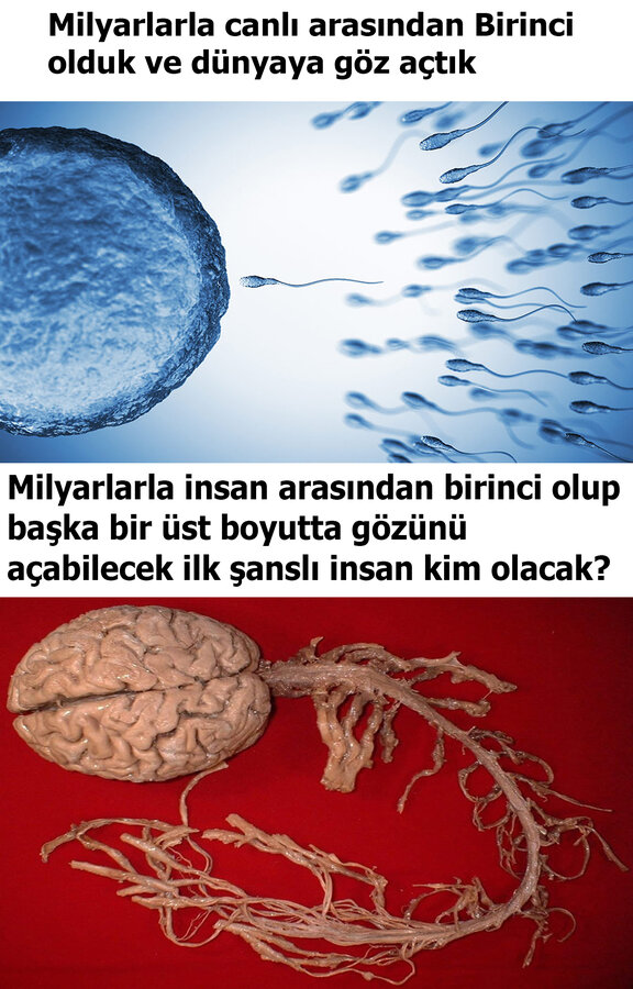 Acı gerçək turk.jpg