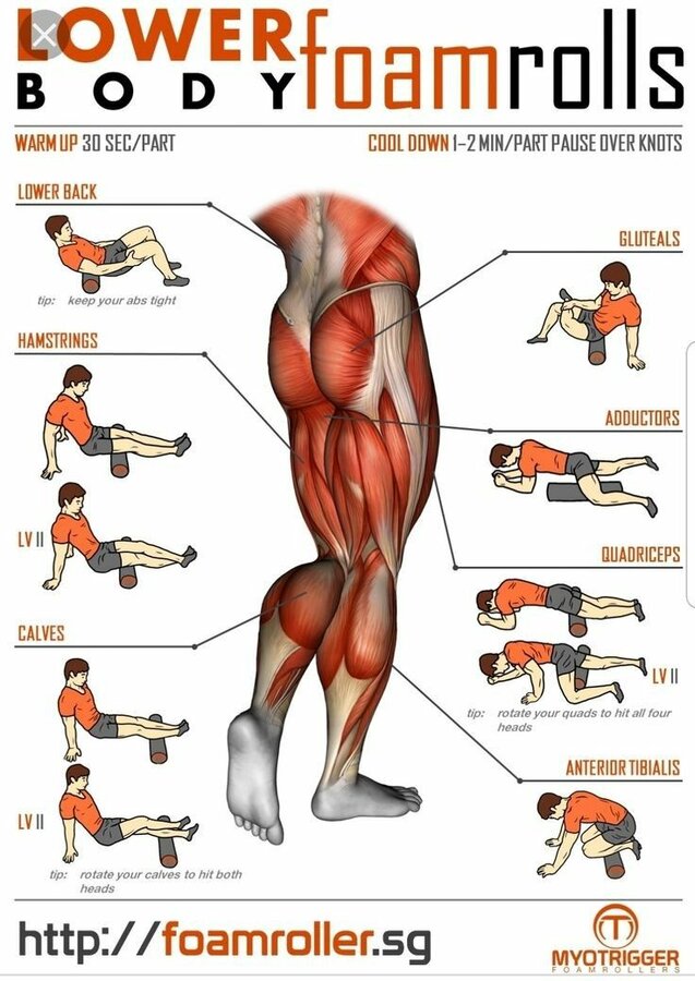 #aesthetic #fitness #fyp #sports #legday #bodybuilding.jpg