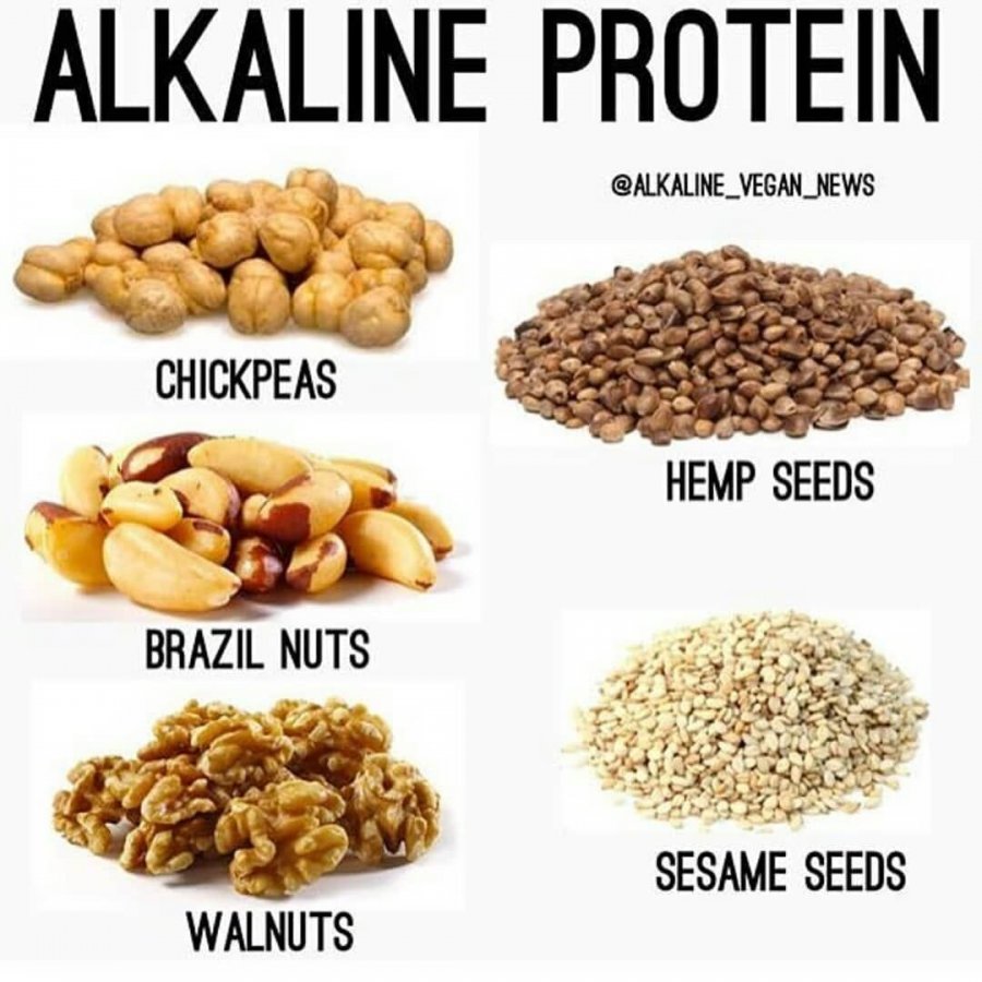 Alkaline protein ______ Vegan teach ___ ~  @alkaline_vegan_news . . . #fitness #veganfitfam #u...jpg