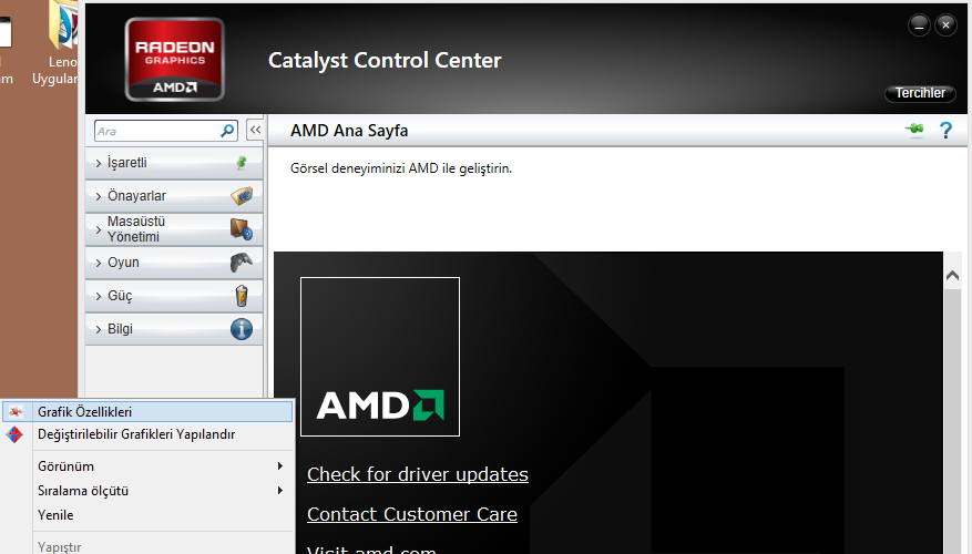 amd program.png