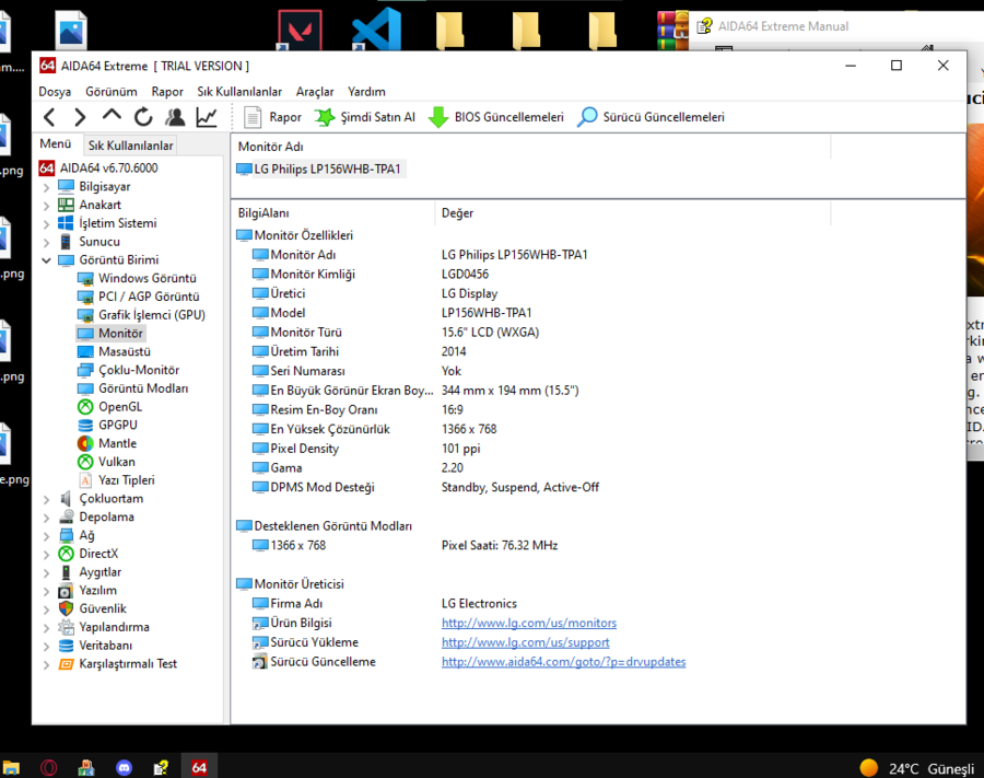 ana laptop.png