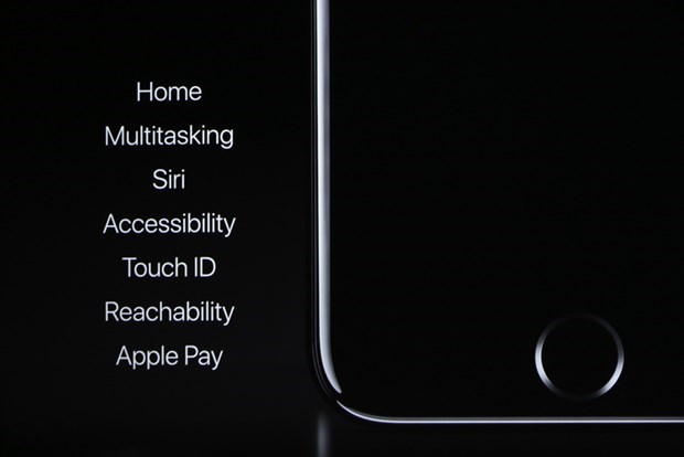 Apple2.jpg
