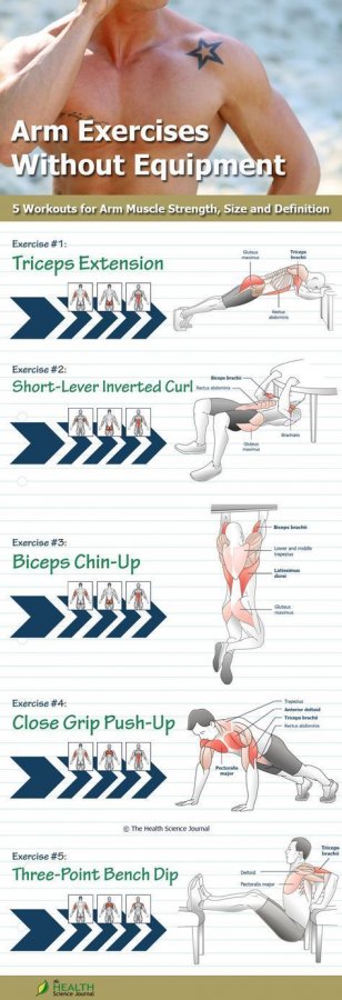 Arm Exercises Without Equipment_ 5 Workouts for Arm Muscle Strength, Size and Definition - The...jpg