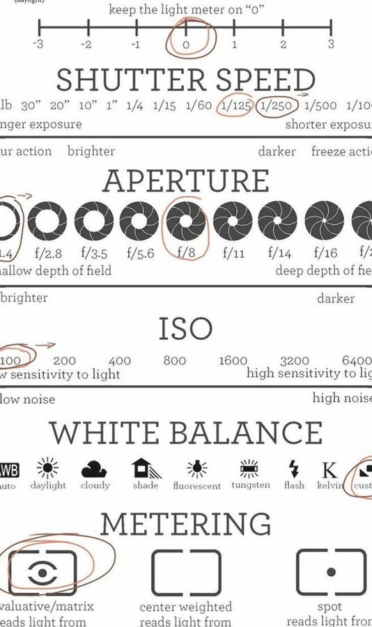 #aut #beautiful #bought #Camera #DSLR #mirrorless.jpg