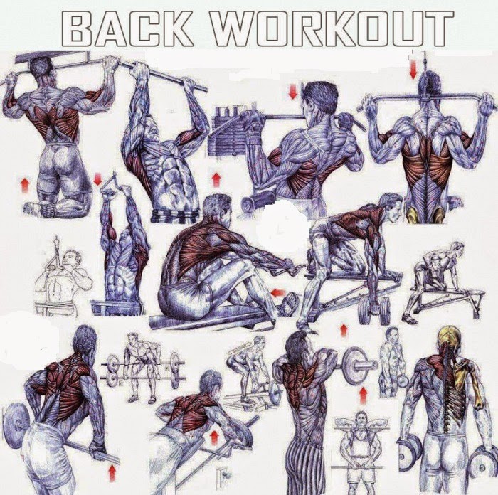 Back-Exercises.jpg