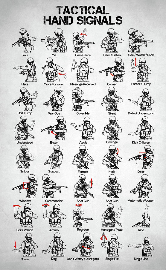 Battle Digital Art - Tactical Hand Signals by Zapista Zapista.png