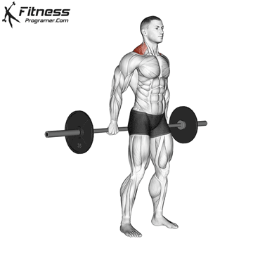 Behind-The-Back-Barbell-Shrug-Reverse-Barbell-Shrug.gif
