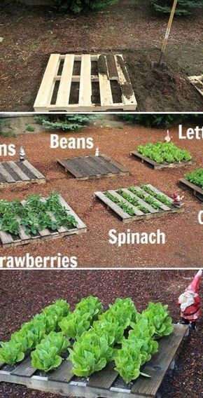 Best 20 Vegetable Garden Design Ideas for Green Living.jpg