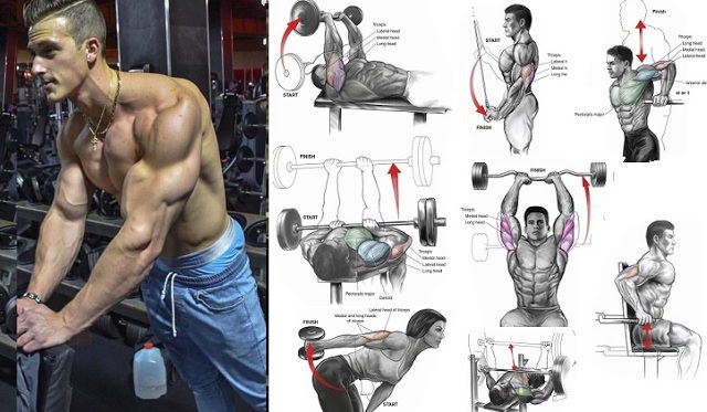 Best-Exercise-For-Tricep-Mass.jpg