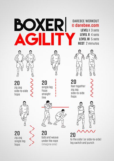 Boxer Agility Workout - Tap the link to shop on our official online store! You can also join o...jpg