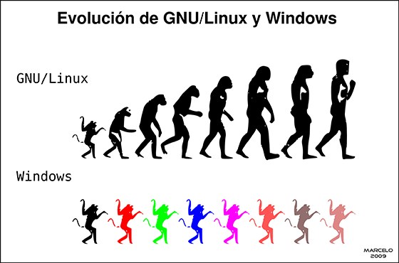 ca5f4e3c2a0d3cab4204e7c81e91b8cf.jpg