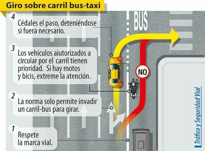 Carnet de conducir.jpg