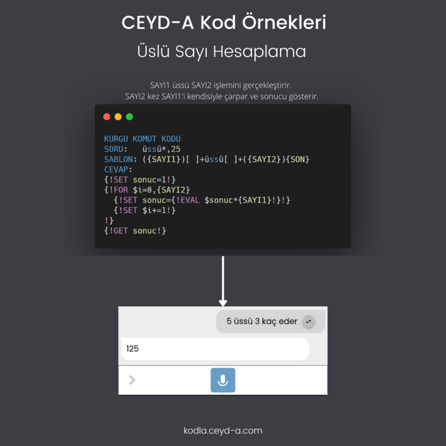CEYD-A Kod Örnekleri (2).png