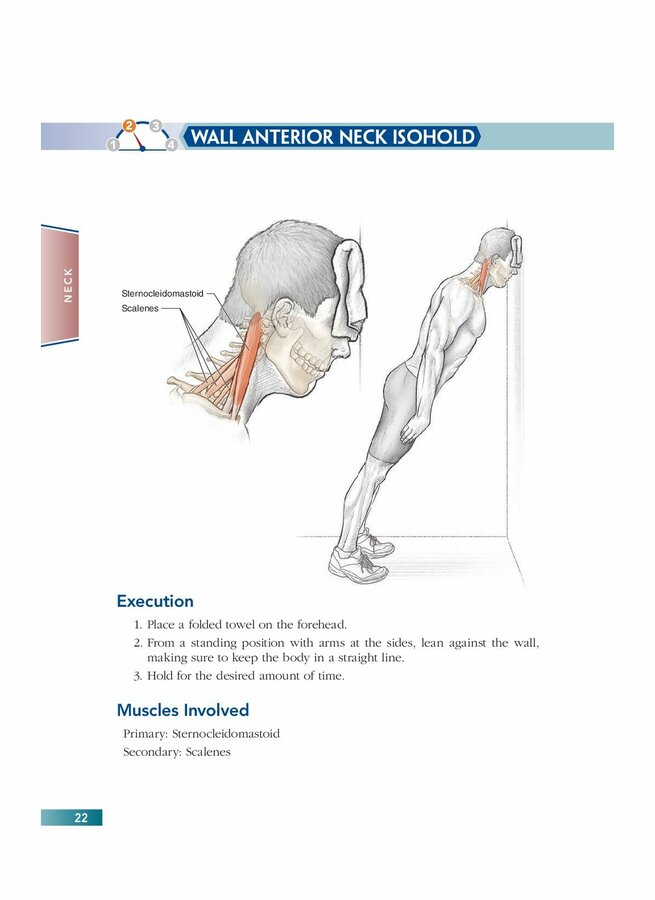 Chapter 3 Neck and Shoulders (22).jpg