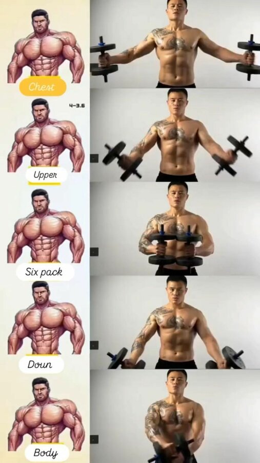 ✅ Dumbbell Arm Workout 💪🏋🏻🏋🏻#dumbbell #dumbbellworkout #gym #fitness #armsworkout #shorts.jpg