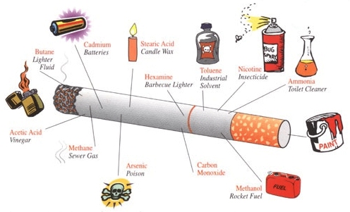 Cigarette Anatomy.jpg