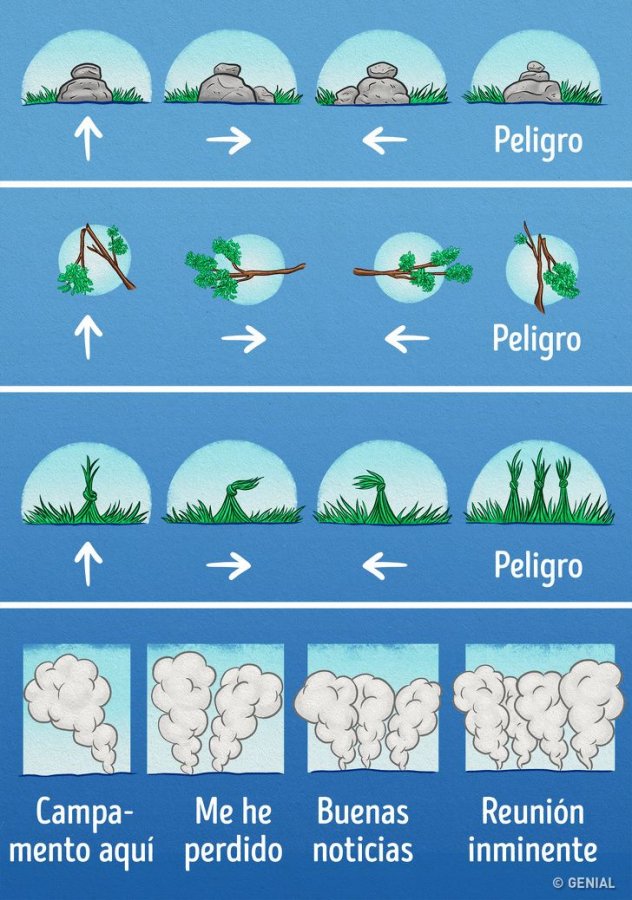 Conocimientos y_habilidades que te_salvar_n la_vida si_te_pierdes en_la_naturaleza.jpg