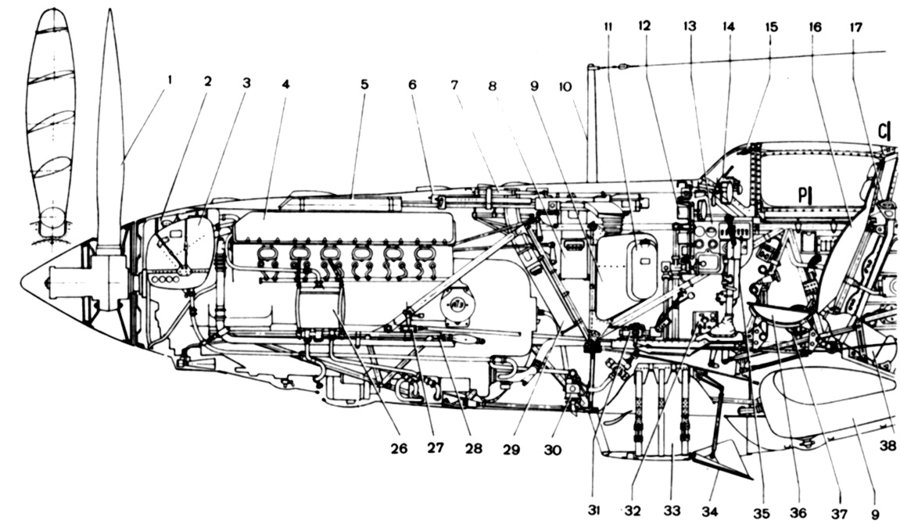 cutaway.jpg