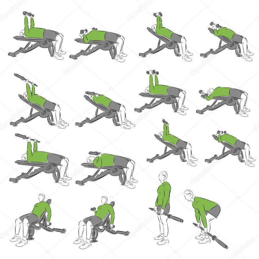 depositphotos_95407806-stock-illustration-set-of-systematic-bodybuilding-exercises.jpg