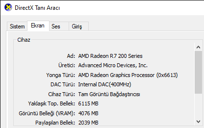 DirectX Tanı Aracı 2.12.2020 00_53_51.png