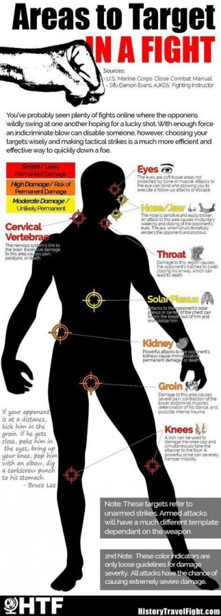 Drone Infographics _ Areas to Target With Unarmed Strikes [Infographic] During close combat Ma...jpg