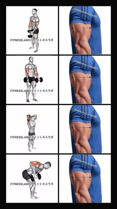  Dumbbell Arm Workout 💪🏋🏻🏋🏻#dumbbell #dumbbellworkout #gym #fitness #armsworkout #shorts ✅ Dum...jpg