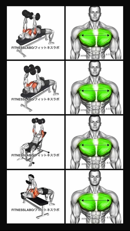  Dumbbell Chest Workout ① Chest Press ② Chest Fly ③ Incline Hammer Press ④ Pullover #fitness #...jpg