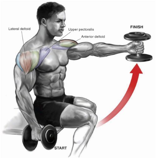 dumbbell-front-raise.jpg