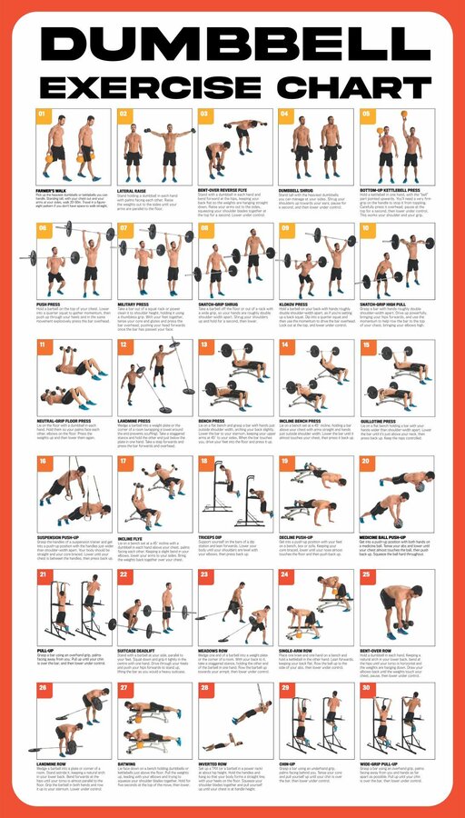 Dumbbell Workout Poster - 10 Free PDF Printables Printablee.jpg