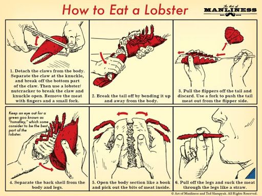Eat a Lobster the Right Way With This Handy Chart.jpg