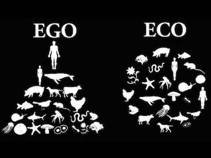 ego-vs-eco.jpg