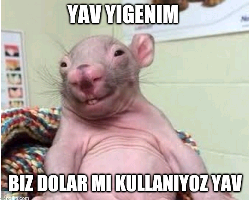 Ekran Alıntısı ama doar olan.PNG