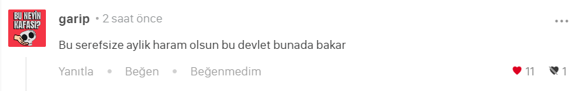 Ekran Alıntısı1.PNG