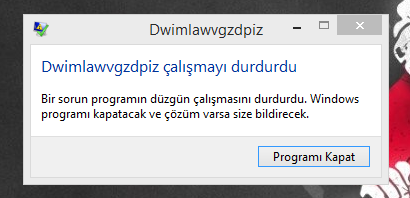 Ekran Alıntısıffsg.PNG